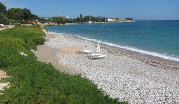 Παραλία - Beach